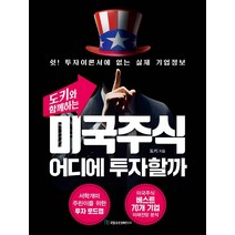 도키와 함께하는 미국주식 어디에 투자할까:쉿! 투자이론서에 없는 실제 기업정보, 국일증권경제연구소, 도키
