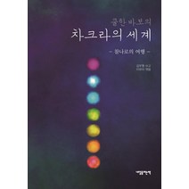[내일을여는책]쿨한 바보의 차크라의 세계 : 참나로의 여행, 내일을여는책, 김우형