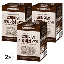 참앤들황토농원 프리미엄 상황버섯진액 30p, 2100ml, 2개