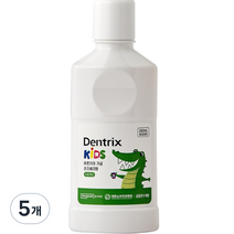 덴트릭스 키즈 동국제약 바른치아 어린이 가글, 260ml, 5개
