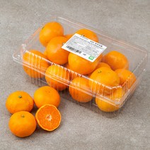 GAP 하우스 감귤, 1.5kg, 1팩