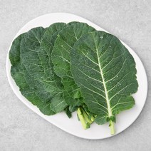 GAP 한끼 케일, 80g, 1봉