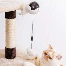 고양이 요요볼 움직이는 장난감 + 리필솜 3p, 화이트