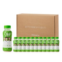 올가니카 올라 스포츠 프로틴 음료 녹차 선물세트, 12개, 240ml