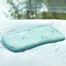 아가똥 유아동용 에어로 3D 매쉬 쿨 필로우, 폴라프렌즈(민트)