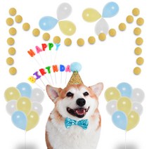 딩동펫 반려동물 생일파티 용품세트, 골드글리터, 1세트