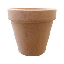 다우에프앤지 토분 바소, 아레나(살구), 1p