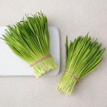 친환경 보리순, 150g, 1팩