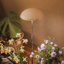 브루이 LED 우산형 식물등, 혼합색상