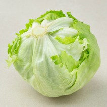 국내산 양상추, 1통, 1개 실사용 후기 — 장단점·가격·구매 가이드