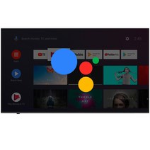 스마트에버 안드로이드 4K UHD 스마트 TV 165cm(65인치) SA65G, 벽걸이형, 방문설치