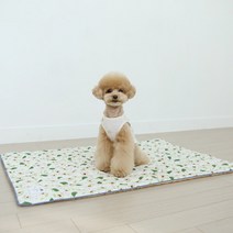 이츠독 인견 쿨링 매트, 아보카도