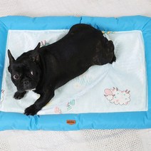 강아지 아이스 메쉬 방석, 블루