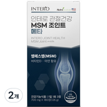 인테로 관절건강 MSM 조인트 메타 126g, 180정, 2개