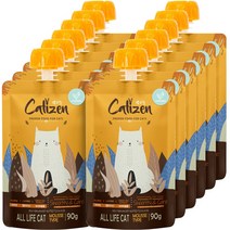 캣티즌 무스 짜먹는 고양이 간식 90g 12개, 닭고기, 1세트