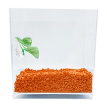 아쿠아테라 뉴탱크 베타어항 + 컬러스톤 500g + 베타침대, 플로워링 주황