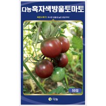 다농 흑자색방울토마토 (50립), 1개