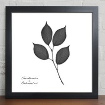 꾸밈 디자인액자 북유럽 보테니컬 아트 대 6타입, 블랙프레임 (iw335)