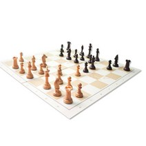 기드온 뉴 패밀리 체스, 혼합 색상