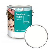 노루페인트 팬톤 내부용 실내 벽면 무광 페인트 4L, 11-0602 Snow White