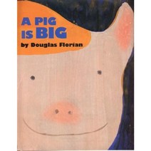 A Pig Is Big Hardcover, Greenwillow Books