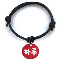 펫츠룩 굿모닝 블랙 반려동물 목걸이 S + 알루미늄 원형 팬턴트 S, 레드(하루), 1개