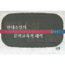 현대소설의 문학교육적 해석, 역락, 윤영옥 저