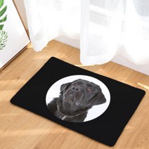 노랜드 Photo dog Style 다용도 발매트, 17