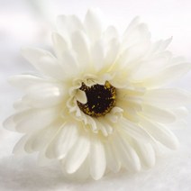 블럭마트 조화 거베라 국화꽃 5p, 아이보리