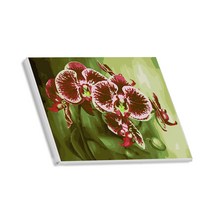 헬로페인팅 직접그리는 DIY 캔버스 도면 난초시리즈, 2