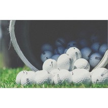 UVDS 아트보드 골프공, 1개