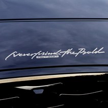 그리븐 기아 스포티지 더볼드 자동차 레터링 데칼 스티커 10317 35cm, 브라이트그레이, 1개