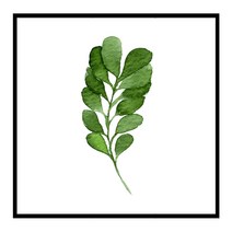 북유럽 캔버스액자 BOT0034 CA 정사각형, 메탈블랙