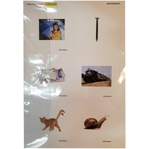 Super Phonics 5 Cards, 투판즈