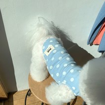 매그독 솜사탕 도트 민소매 티셔츠, 스카이블루