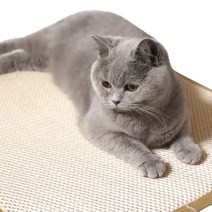 초롱이네 고양이 이중벌집 모래매트 중형, 골드