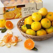 귤로장생 GAP 인증 고당도 하우스 감귤, 1.5kg, 1박스
