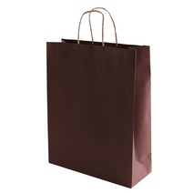 봄91 컬러 종이쇼핑백 10p, 브라운