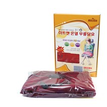 히트젠 차량 온열 무릎담요, 1개