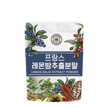 해나식품 레몬밤 추출 분말, 300g, 1개