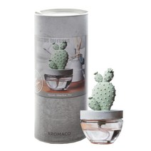 아로마코 선인장 디퓨저 100ml, 잉글리쉬가든, 1개