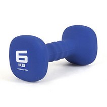 아이워너 네오프렌 사각아령, 6kg, 1개
