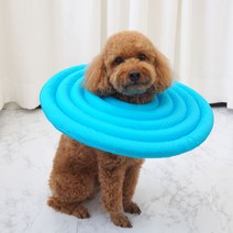 유앤펫 반려동물용 UFO 초경량 넥카라 시즌2 하늘색 S, 58g, 1개
