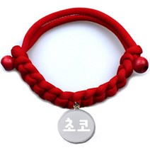 펫츠룩 데일리 레드 반려동물 목걸이 + 원형 팬던트, 실버(초코)