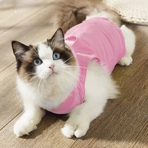 파스텔펫 소프트 고양이 환묘복, 핑크