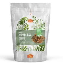 비옴 회화나무 열매, 300g, 1개