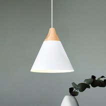 플랜룩스 플리깃 펜단트 조명, A