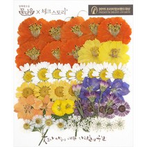 체크스토리 압화꽃 공예 C타입, 02 청실홍실