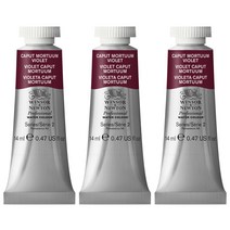 윈저앤뉴튼 프로페셔널 수채물감 125 Caput mortnum violet 3p, 14ml, 1색