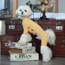 파스텔독 강아지 러브아이 골덴 올인원, 옐로우